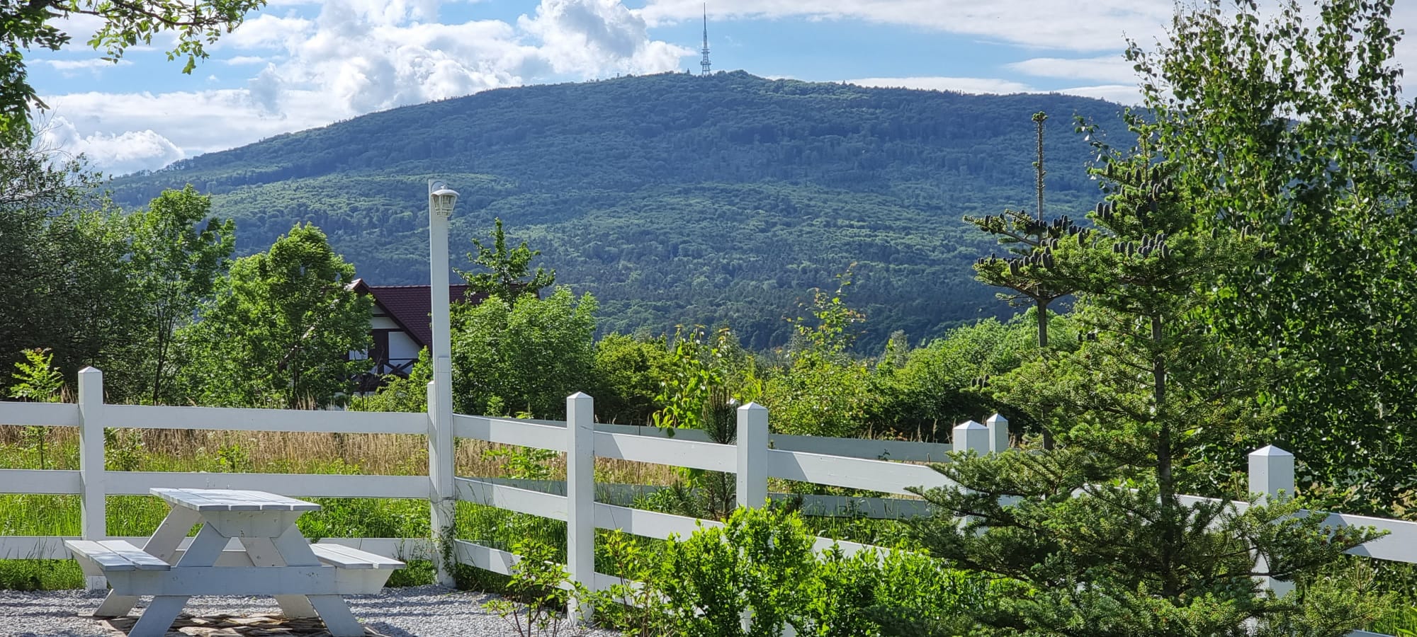 WhatsApp Image 2025-12-16 at 16.01.43