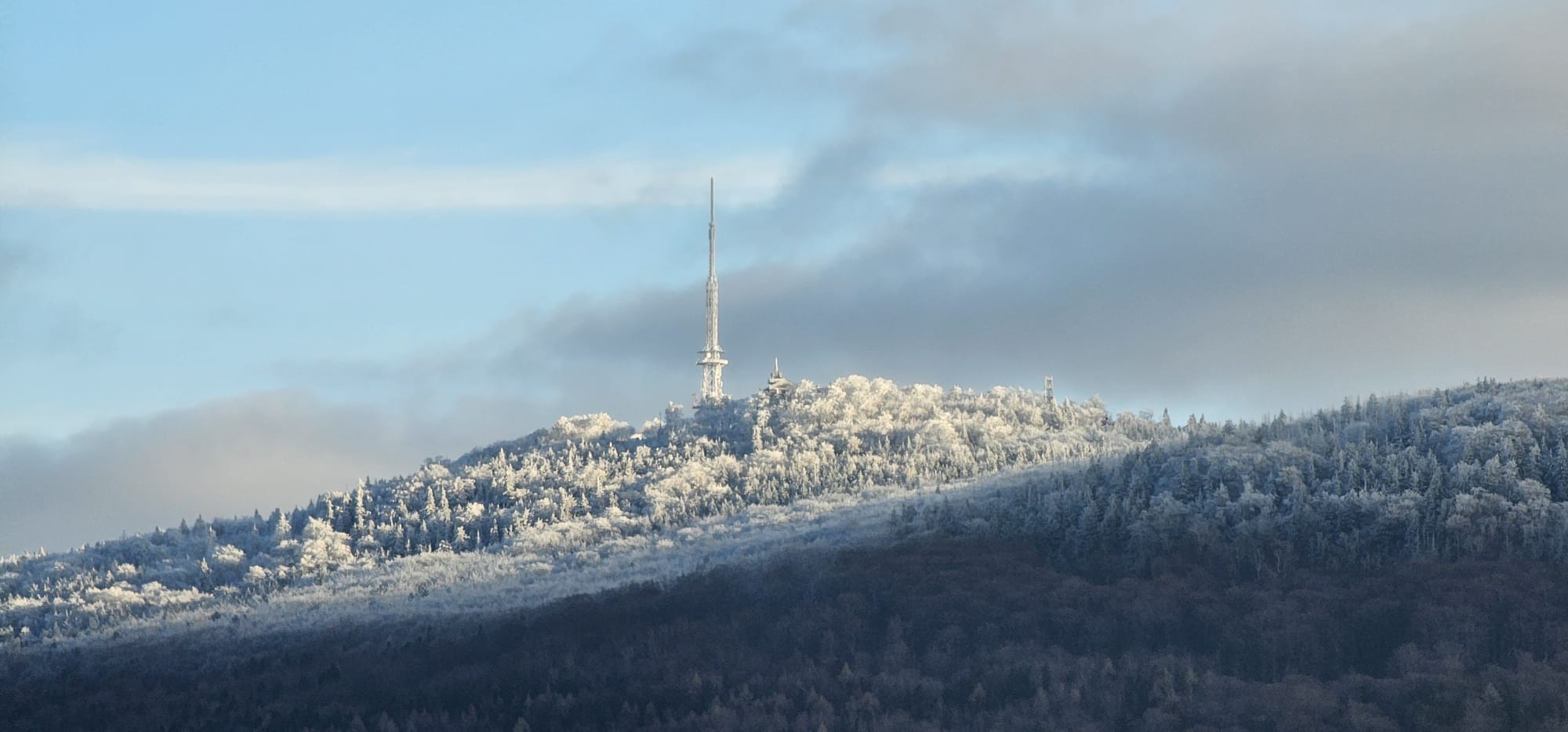 WhatsApp Image 2025-12-16 at 16.01.45